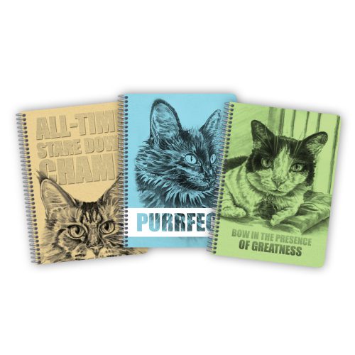 Cat Lover Notebooks